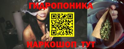 сатива Усть-Илимск