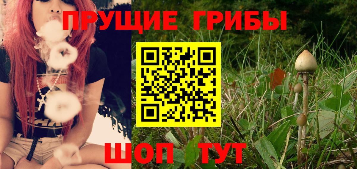 Галлюциногенные грибы прущие грибы Кызыл